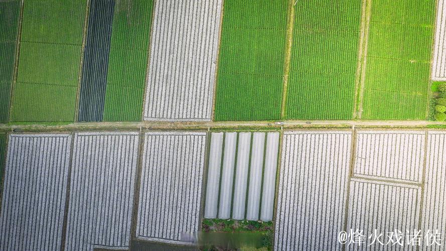 全国已春播粮食3500多万亩